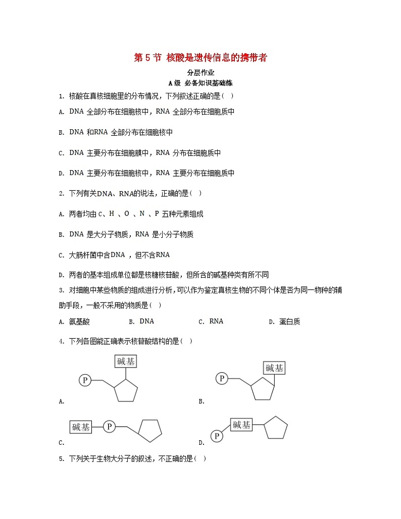 江苏专版2023_2024学年新教材高中生物第2章组成细胞的分子第5节核酸是遗传信息的携带者分层作业新人教版必修101