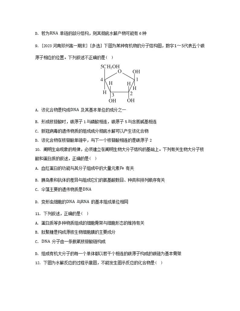 江苏专版2023_2024学年新教材高中生物第2章组成细胞的分子第5节核酸是遗传信息的携带者分层作业新人教版必修103