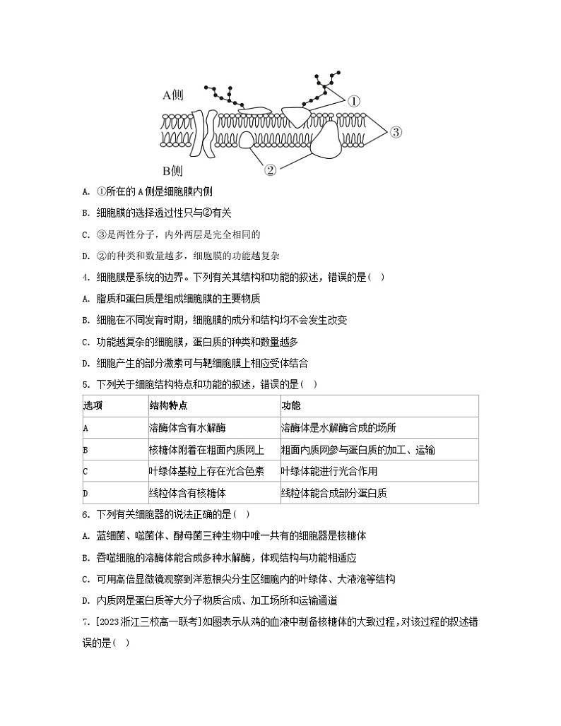 江苏专版2023_2024学年新教材高中生物第3章细胞的基本结构章末测评卷新人教版必修102