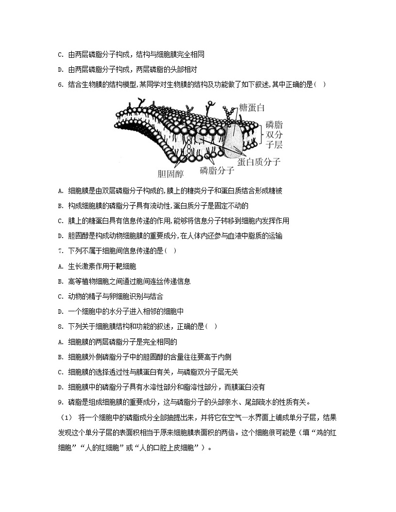 江苏专版2023_2024学年新教材高中生物第3章细胞的基本结构第1节细胞膜的结构和功能分层作业新人教版必修102
