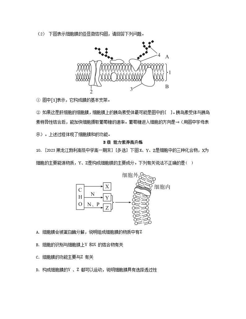 江苏专版2023_2024学年新教材高中生物第3章细胞的基本结构第1节细胞膜的结构和功能分层作业新人教版必修103
