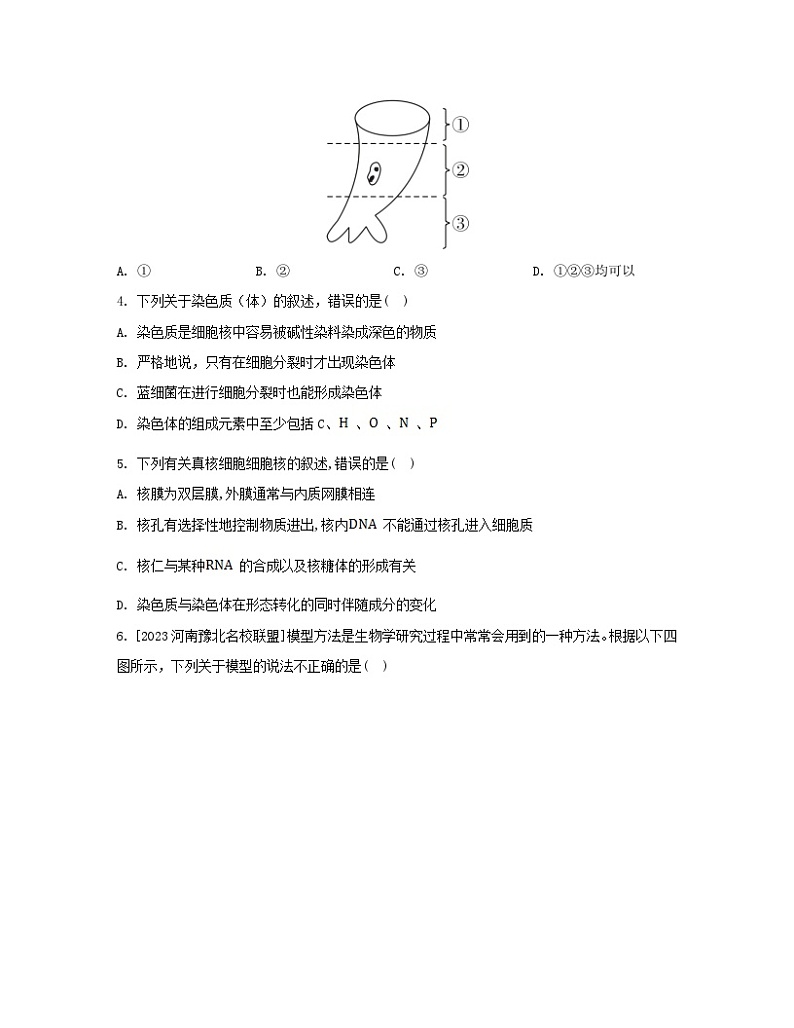 江苏专版2023_2024学年新教材高中生物第3章细胞的基本结构第3节细胞核的结构和功能分层作业新人教版必修102