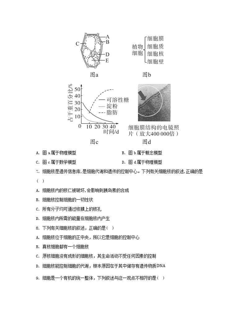 江苏专版2023_2024学年新教材高中生物第3章细胞的基本结构第3节细胞核的结构和功能分层作业新人教版必修103