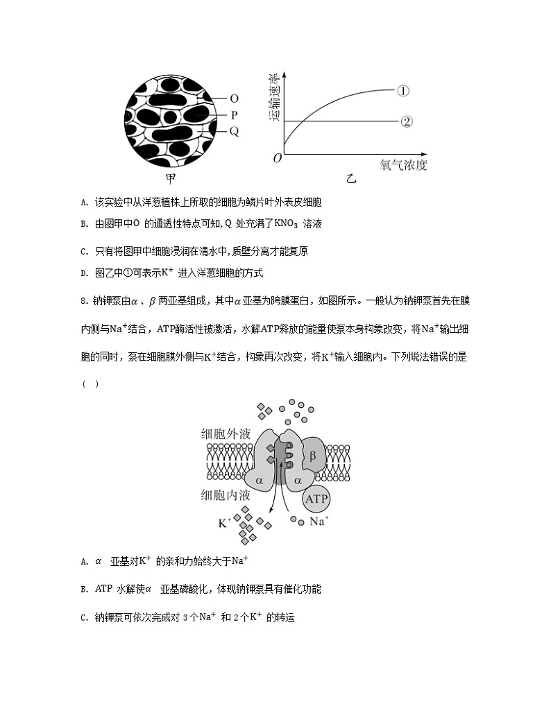 江苏专版2023_2024学年新教材高中生物第4章细胞的物质输入和输出章末测评卷新人教版必修103