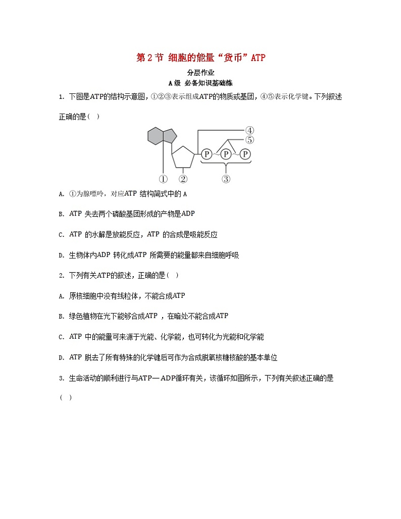 江苏专版2023_2024学年新教材高中生物第5章细胞的能量供应和利用第2节细胞的能量“货币”ATP分层作业新人教版必修1第1页