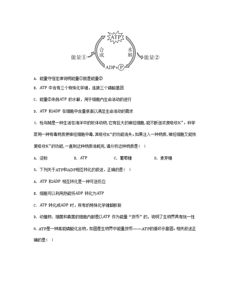 江苏专版2023_2024学年新教材高中生物第5章细胞的能量供应和利用第2节细胞的能量“货币”ATP分层作业新人教版必修1第2页