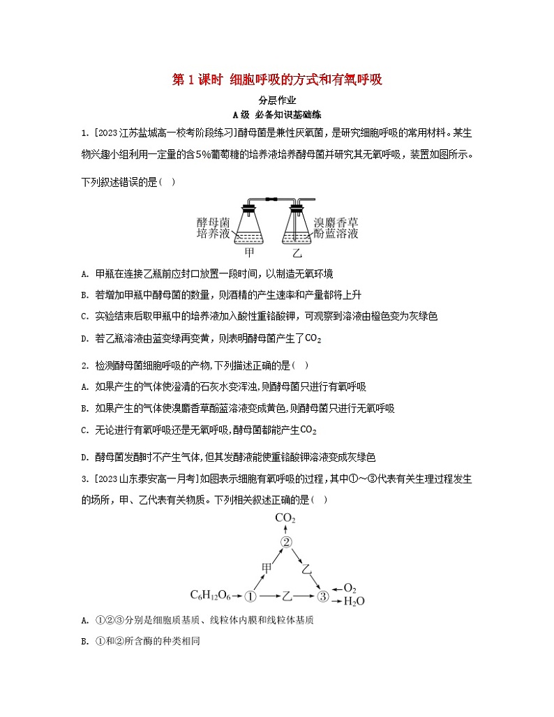 江苏专版2023_2024学年新教材高中生物第5章细胞的能量供应和利用第3节细胞呼吸的原理和应用第1课时细胞呼吸的方式和有氧呼吸分层作业新人教版必修1第1页