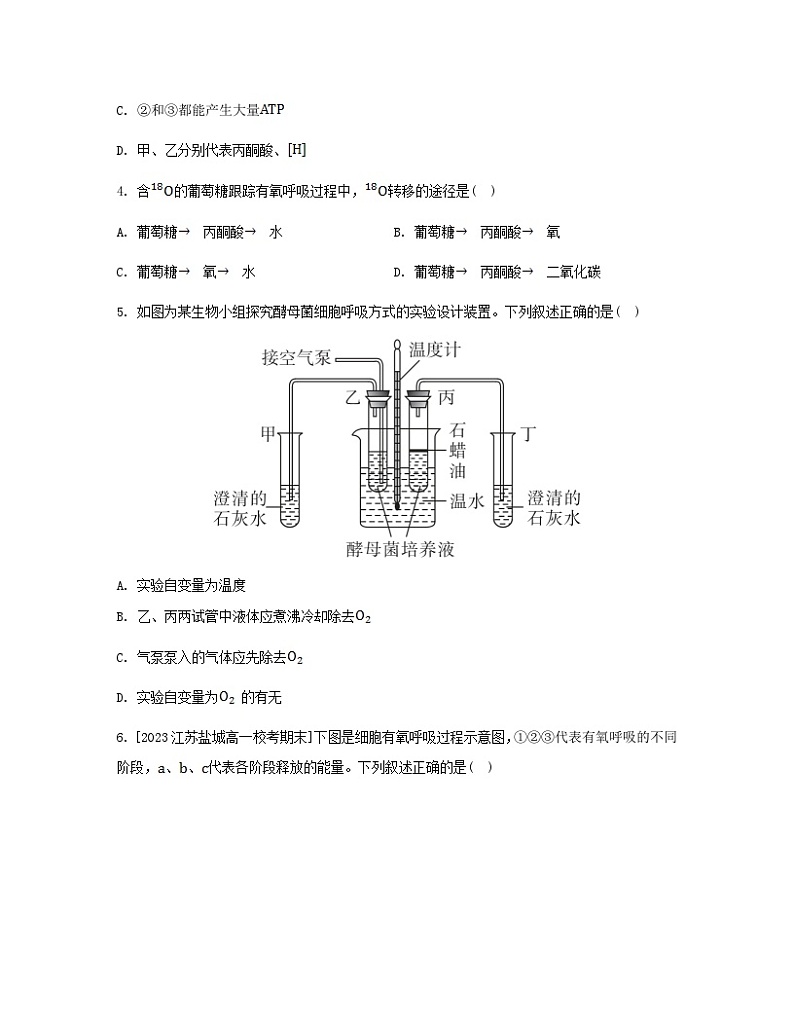 江苏专版2023_2024学年新教材高中生物第5章细胞的能量供应和利用第3节细胞呼吸的原理和应用第1课时细胞呼吸的方式和有氧呼吸分层作业新人教版必修1第2页