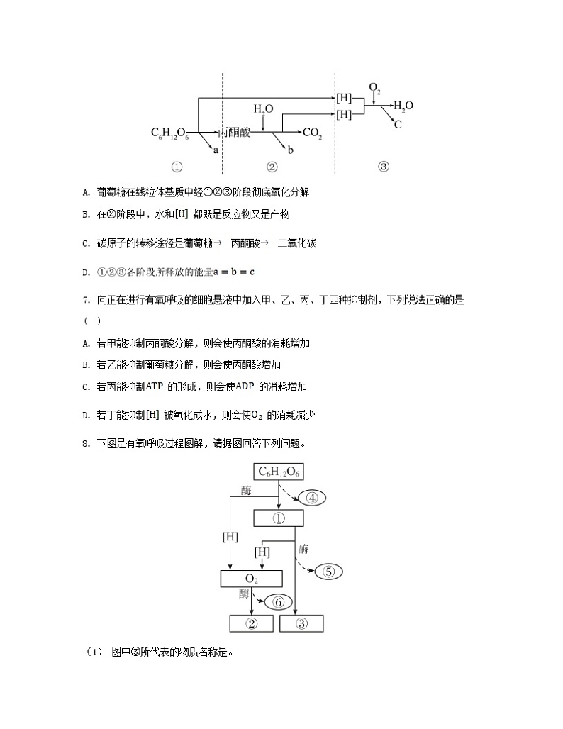 江苏专版2023_2024学年新教材高中生物第5章细胞的能量供应和利用第3节细胞呼吸的原理和应用第1课时细胞呼吸的方式和有氧呼吸分层作业新人教版必修1第3页