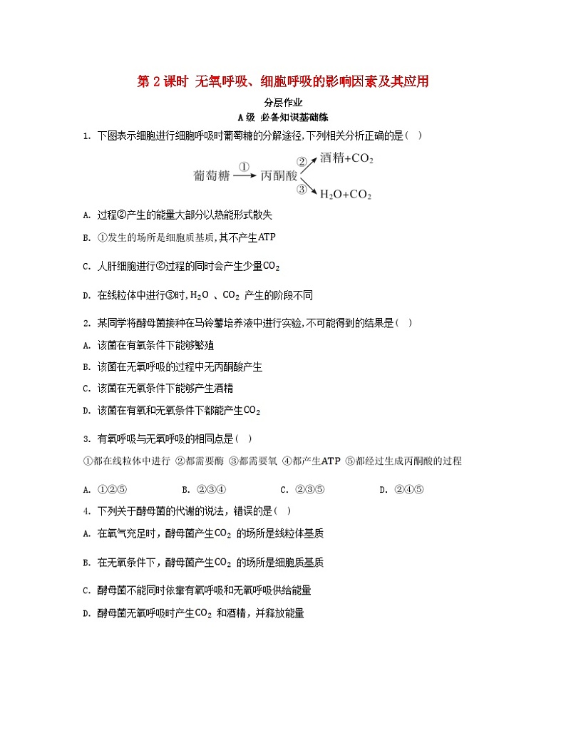 江苏专版2023_2024学年新教材高中生物第5章细胞的能量供应和利用第3节细胞呼吸的原理和应用第2课时无氧呼吸细胞呼吸的影响因素及其应用分层作业新人教版必修1第1页