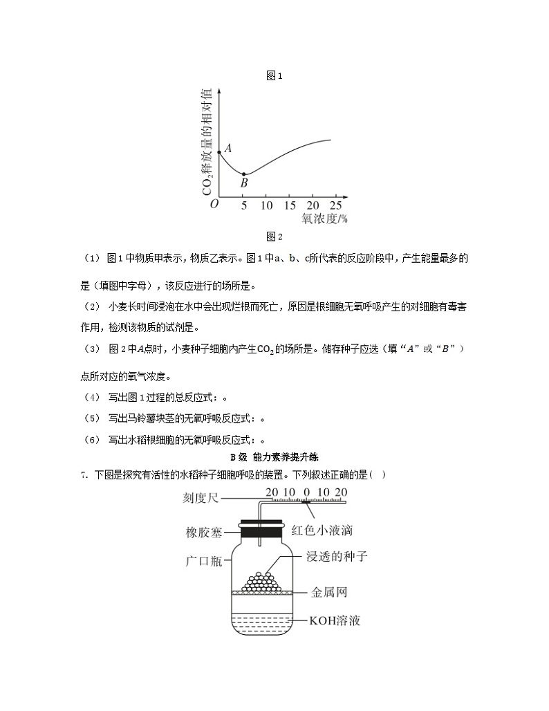 江苏专版2023_2024学年新教材高中生物第5章细胞的能量供应和利用第3节细胞呼吸的原理和应用第2课时无氧呼吸细胞呼吸的影响因素及其应用分层作业新人教版必修1第3页