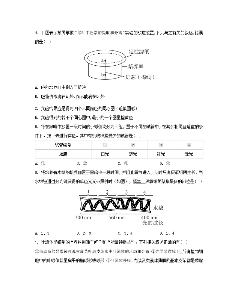 江苏专版2023_2024学年新教材高中生物第5章细胞的能量供应和利用第4节光合作用与能量转化第1课时捕获光能的色素和结构分层作业新人教版必修102