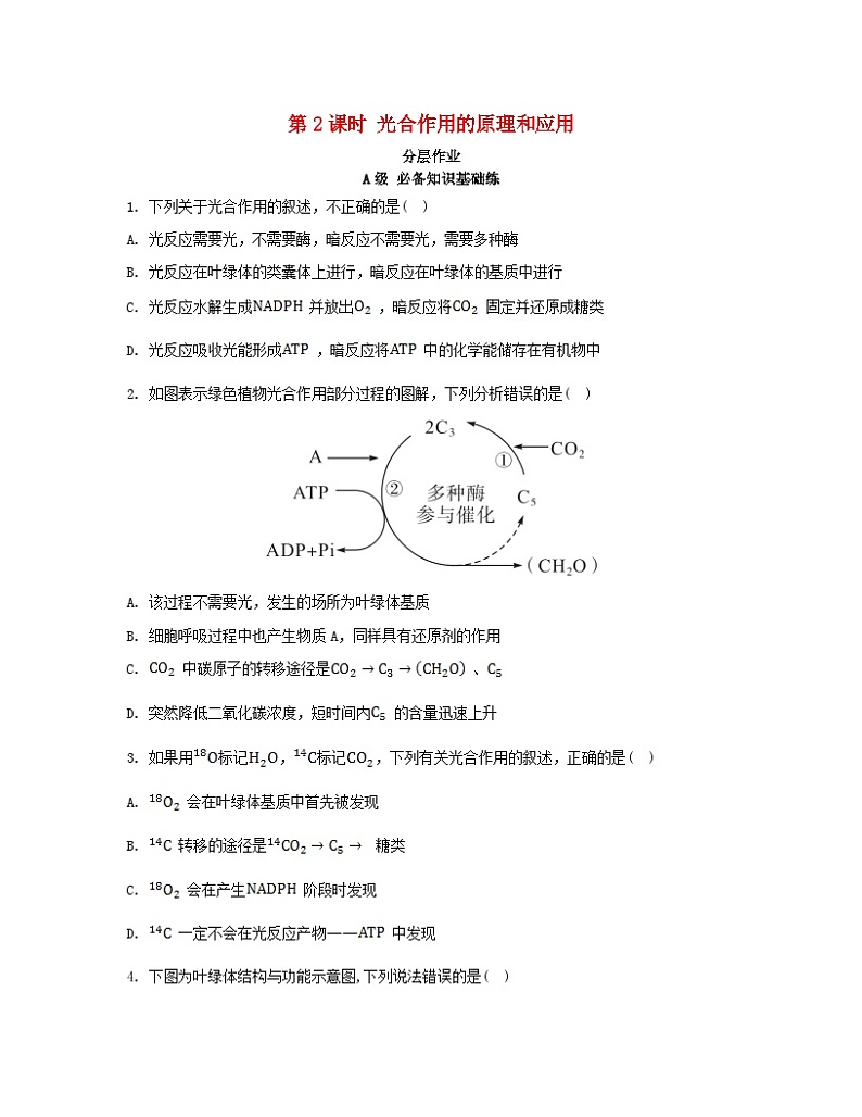 江苏专版2023_2024学年新教材高中生物第5章细胞的能量供应和利用第4节光合作用与能量转化第2课时光合作用的原理和应用分层作业新人教版必修1第1页