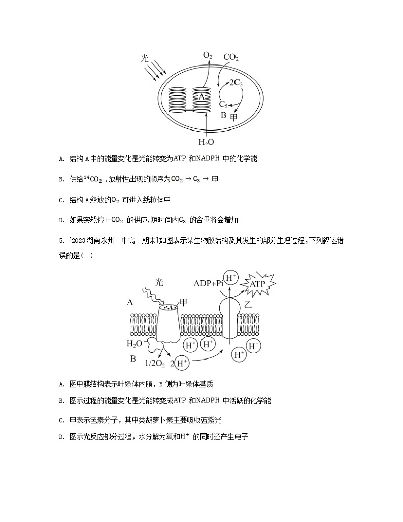 江苏专版2023_2024学年新教材高中生物第5章细胞的能量供应和利用第4节光合作用与能量转化第2课时光合作用的原理和应用分层作业新人教版必修1第2页