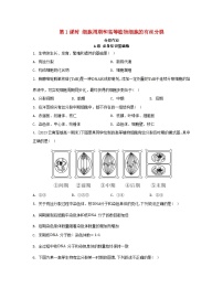 生物必修1《分子与细胞》第6章 细胞的生命历程第1节 细胞的增殖第1课时当堂检测题