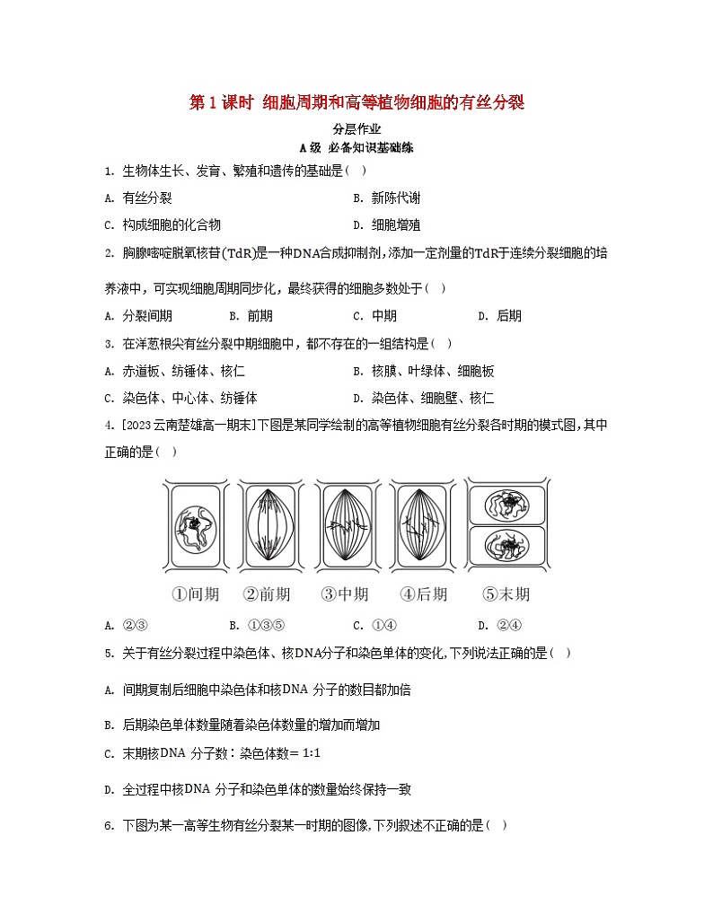 江苏专版2023_2024学年新教材高中生物第6章细胞的生命历程第1节细胞的增殖第1课时细胞周期和高等植物细胞的有丝分裂分层作业新人教版必修1第1页