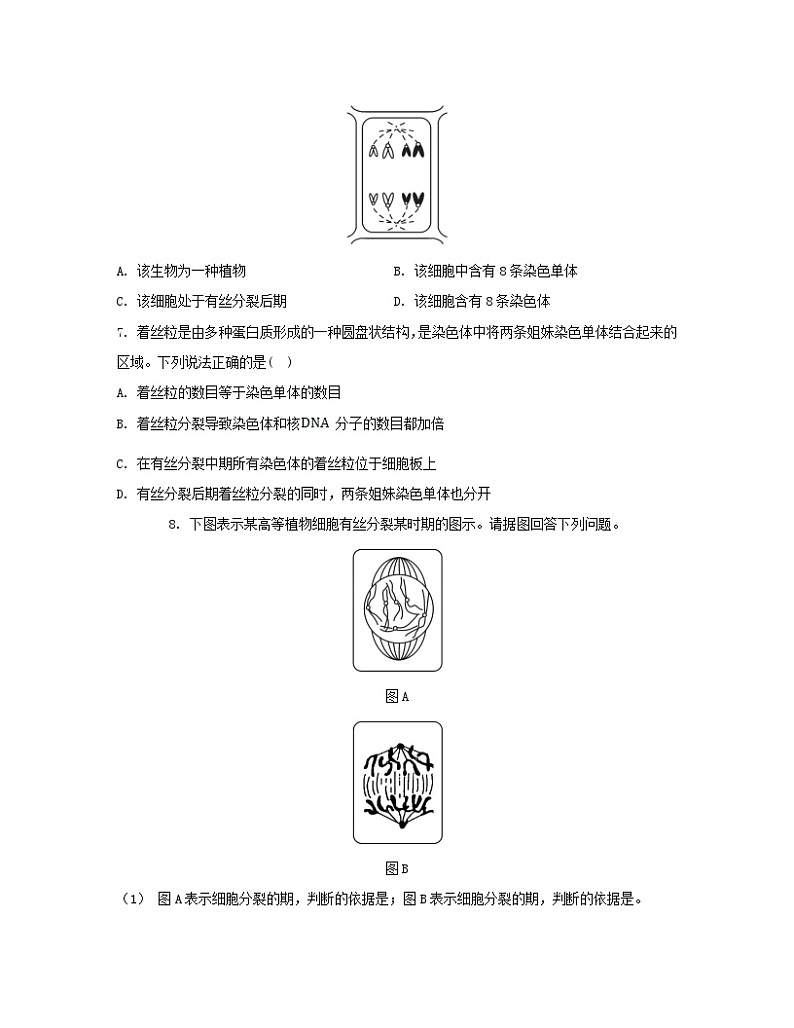 江苏专版2023_2024学年新教材高中生物第6章细胞的生命历程第1节细胞的增殖第1课时细胞周期和高等植物细胞的有丝分裂分层作业新人教版必修1第2页
