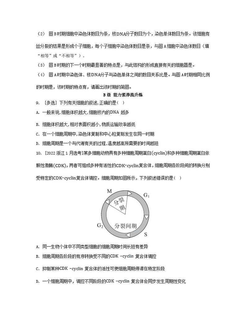 江苏专版2023_2024学年新教材高中生物第6章细胞的生命历程第1节细胞的增殖第1课时细胞周期和高等植物细胞的有丝分裂分层作业新人教版必修1第3页
