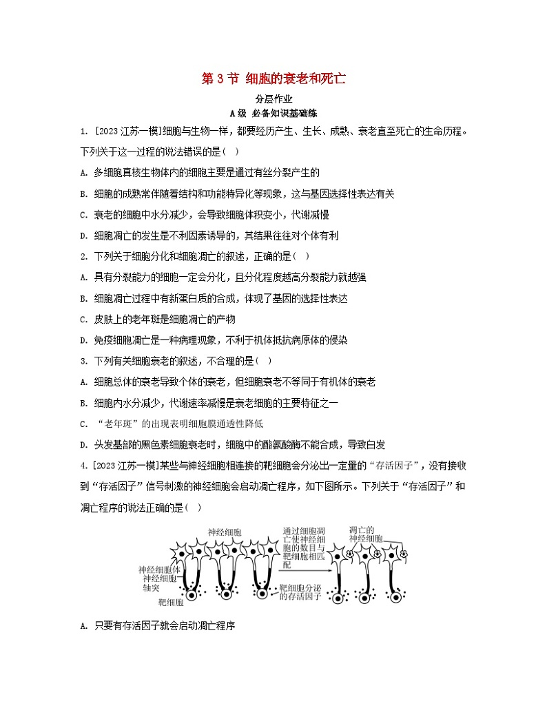 江苏专版2023_2024学年新教材高中生物第6章细胞的生命历程第3节细胞的衰老和死亡分层作业新人教版必修1第1页