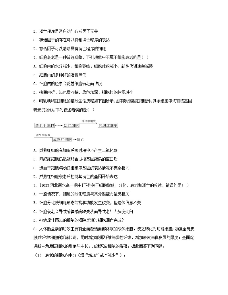 江苏专版2023_2024学年新教材高中生物第6章细胞的生命历程第3节细胞的衰老和死亡分层作业新人教版必修1第2页