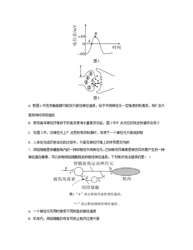 江苏专版2023_2024学年新教材高中生物第2章神经调节章末测评卷新人教版选择性必修1第3页