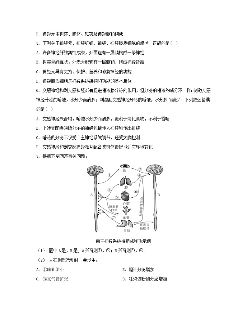 江苏专版2023_2024学年新教材高中生物第2章神经调节第1节神经调节的结构基粗层作业新人教版选择性必修1第2页