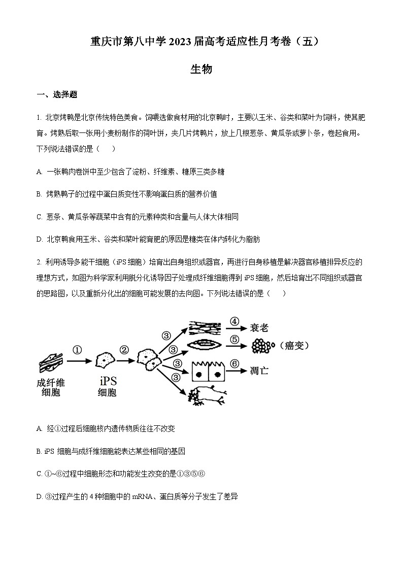 重庆市第八中学2022-2023学年高三下学期高考适应性月考（五）生物试题（原卷版）第1页