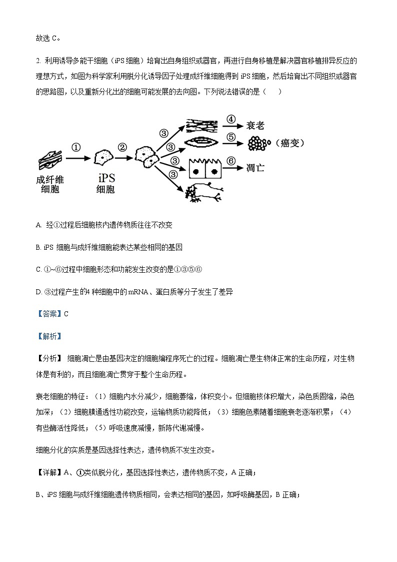 重庆市第八中学2022-2023学年高三下学期高考适应性月考（五）生物试题 Word版含解析第2页