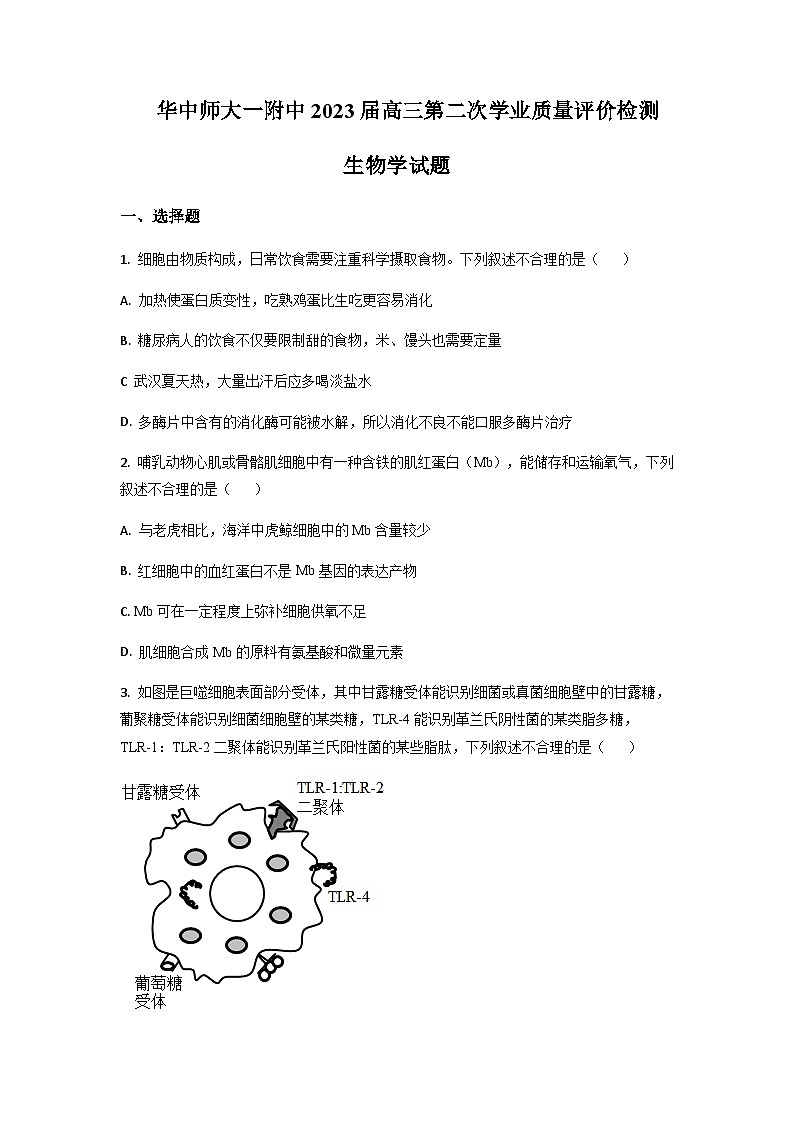 2022-2023学年湖北省华中师范大学第一附属中学高三下学期第二次学业质量评价检测（期中）生物试题（word版）01