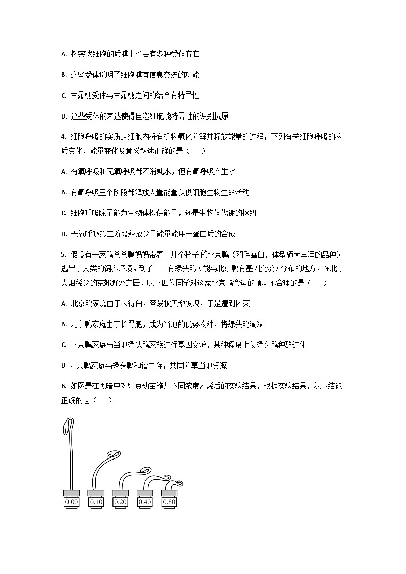 2022-2023学年湖北省华中师范大学第一附属中学高三下学期第二次学业质量评价检测（期中）生物试题（word版）02