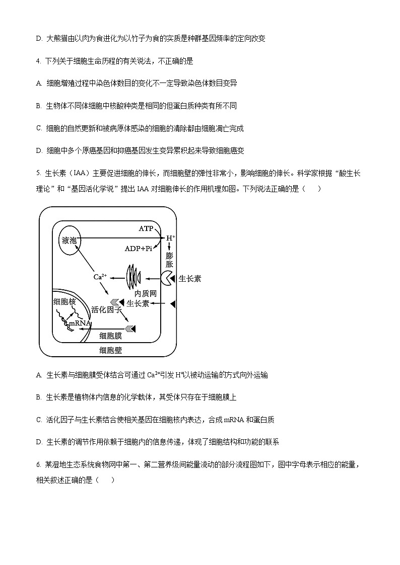 四川省成都市树德中学（光华校区）2022-2023学年高三下学期开学考试理综生物试题（原卷版）第2页