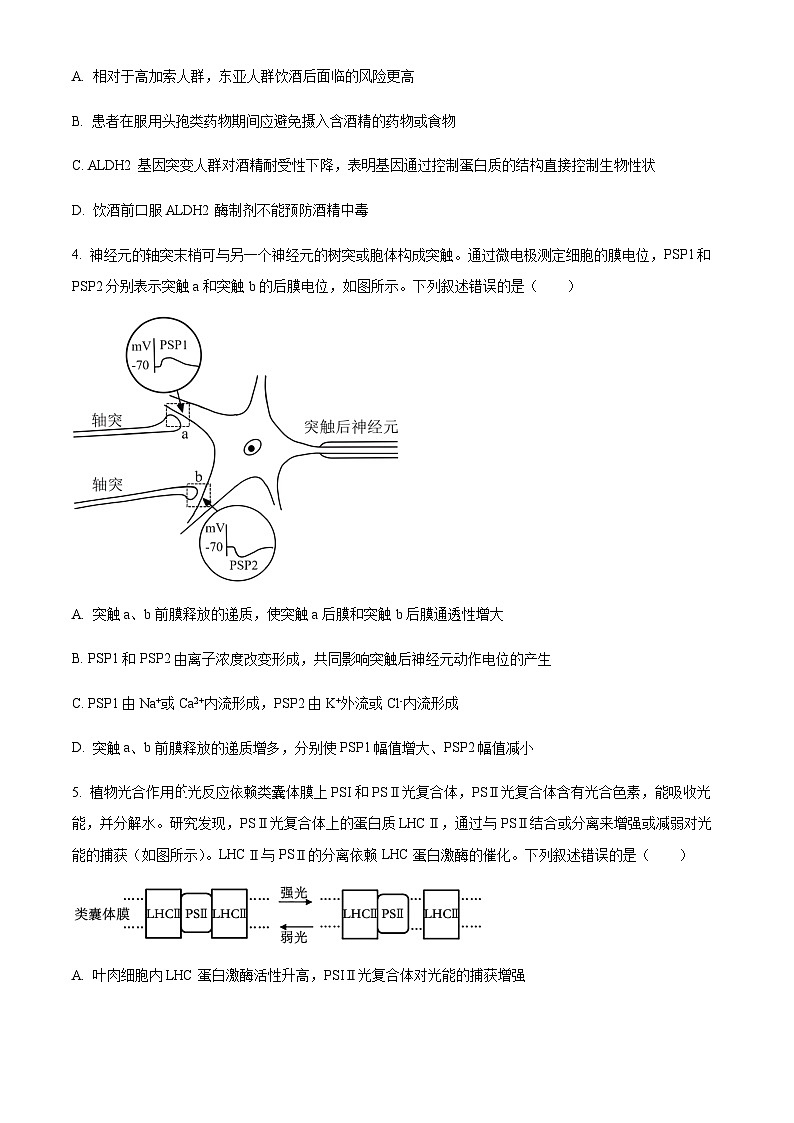 2022-2023学年山西省晋城市第一中学高三下学期8月月考生物试题含答案02