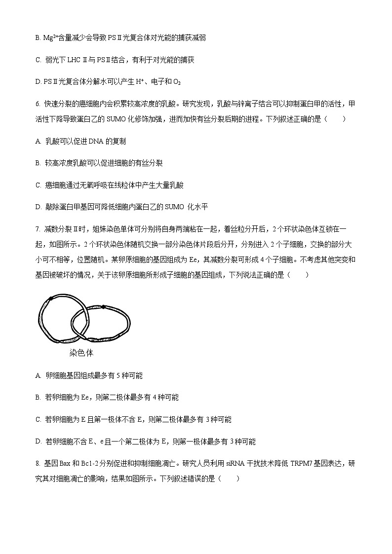 2022-2023学年山西省晋城市第一中学高三下学期8月月考生物试题含答案03