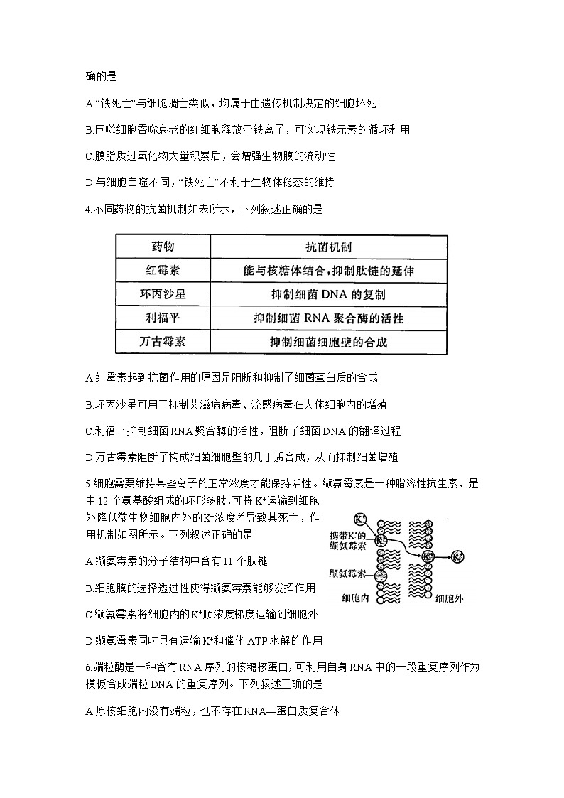 2023届湖北省圆创教育高三下学期五月联合测评生物试卷word版含答案02
