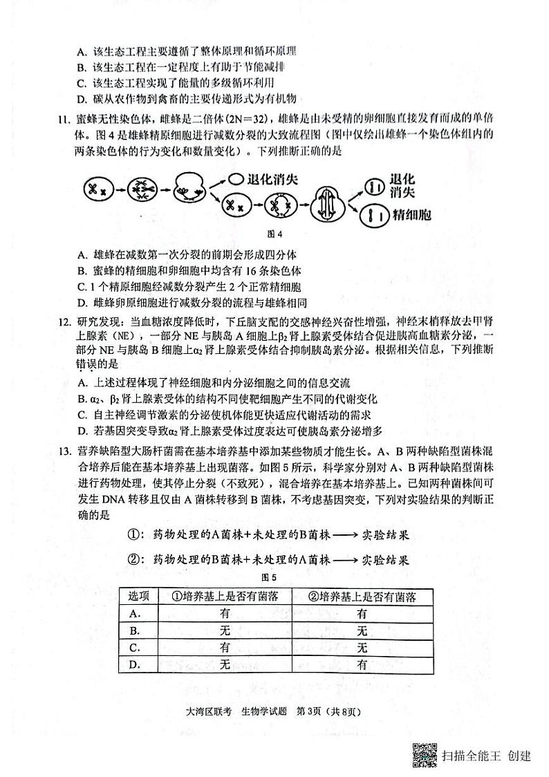 广东省粤港澳大湾区2023届高三下学期4月联合模拟考试（二模）生物  PDF版无答案第3页
