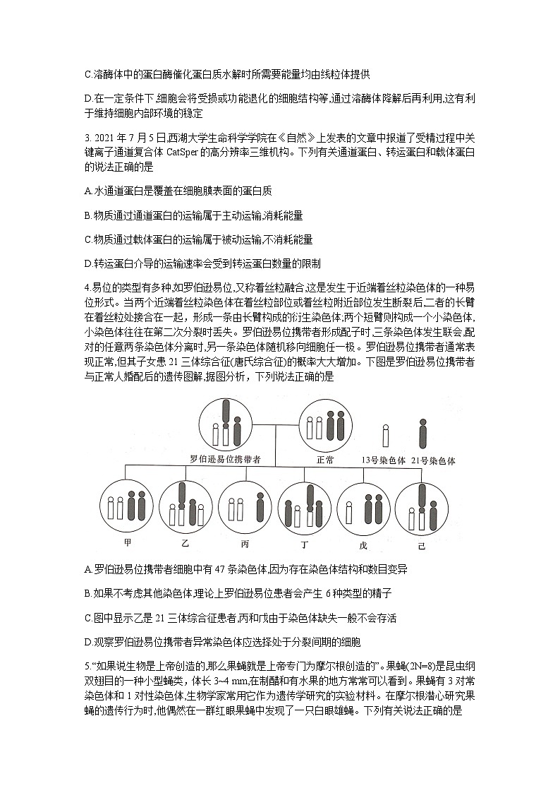 2023届湖南省岳阳县一中新高考教学教研联盟高三下学期4月第二次联考生物试卷含答案02