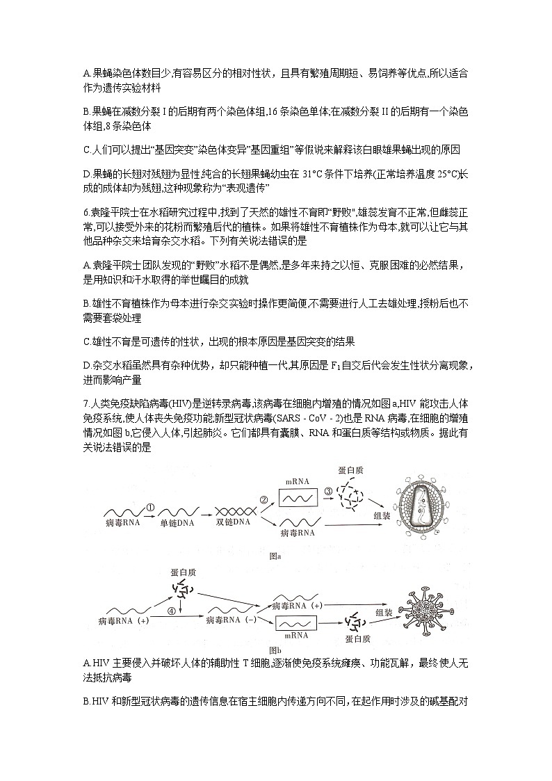 2023届湖南省岳阳县一中新高考教学教研联盟高三下学期4月第二次联考生物试卷含答案03