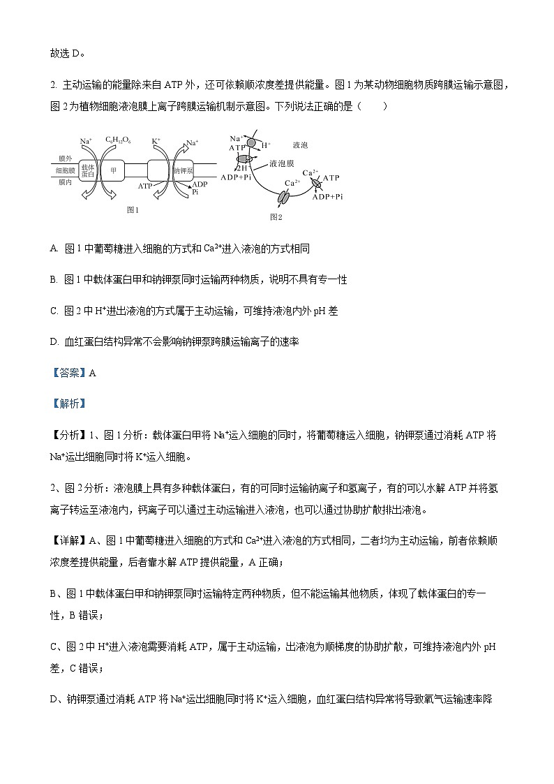 2023届浙江省北斗新盟高三下学期6月联合考试生物试题含答案第2页