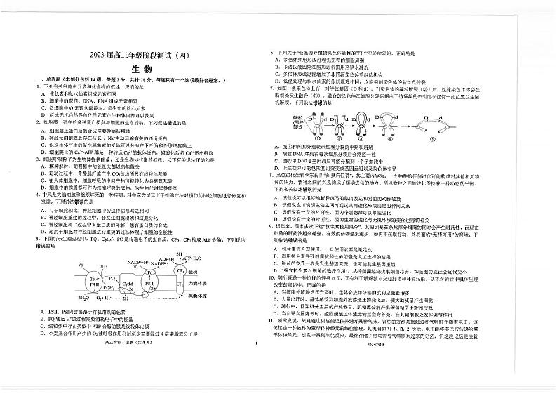 2023届江苏省海安市重点中学高三下学期阶段检测（四）生物PDF版含答案01