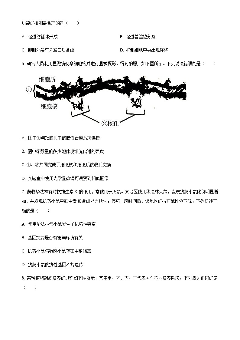 2023届浙江省慈溪中学名校新高考研究联盟Z20联盟高三下学期第三次联考生物试题（word版）02