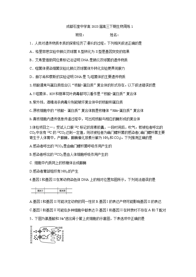 2022-2023学年四川省成都市石室中学高高三下学期周练1生物试题第1页
