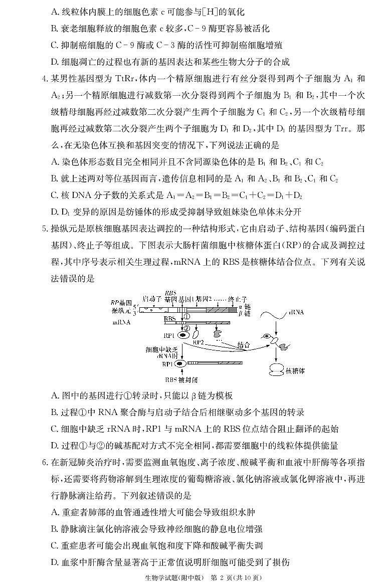 2024届湖南师范大学附属中学高三摸底考试生物试题PDF版含答案02