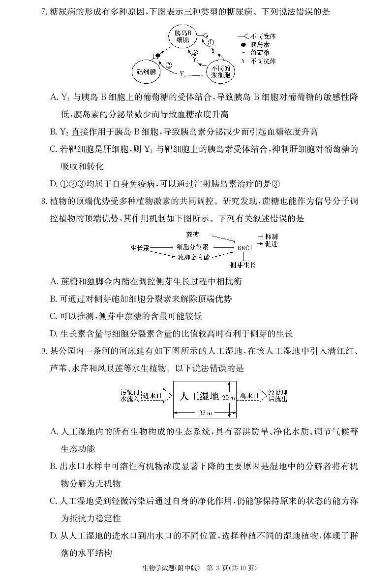 2024届湖南师范大学附属中学高三摸底考试生物试题PDF版含答案03