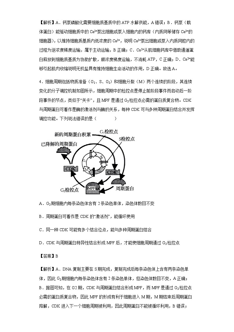 2022-2023学年山东省青岛市即墨区二中高三期初调研检测生物试题含答案03