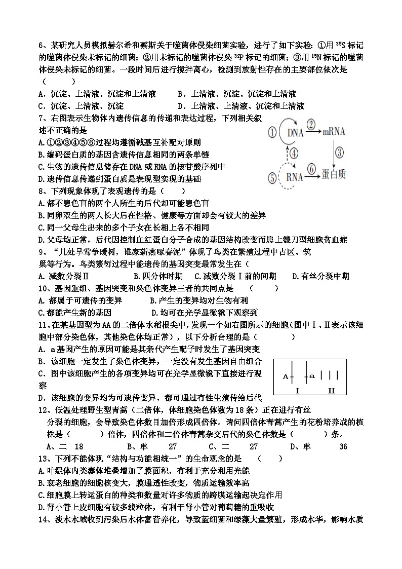 广东省雷州市第二中学2023-2024学年高二上学期开学考试生物试卷（含答案）02