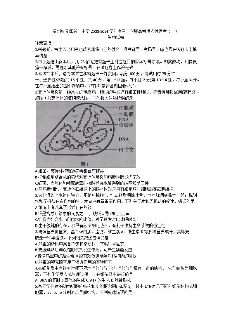 贵州省贵阳第一中学2023-2024学年高三上学期高考适应性月考生物试卷（一）第1页