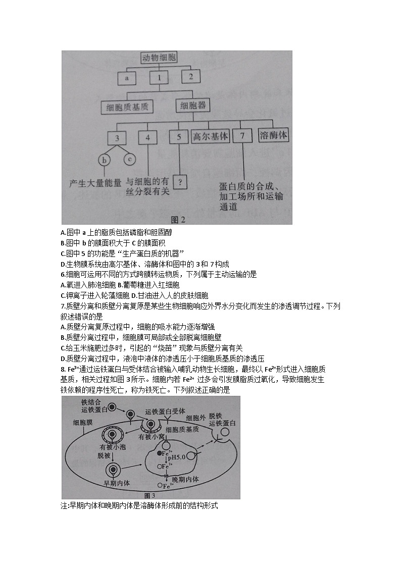 贵州省贵阳第一中学2023-2024学年高三上学期高考适应性月考生物试卷（一）第2页
