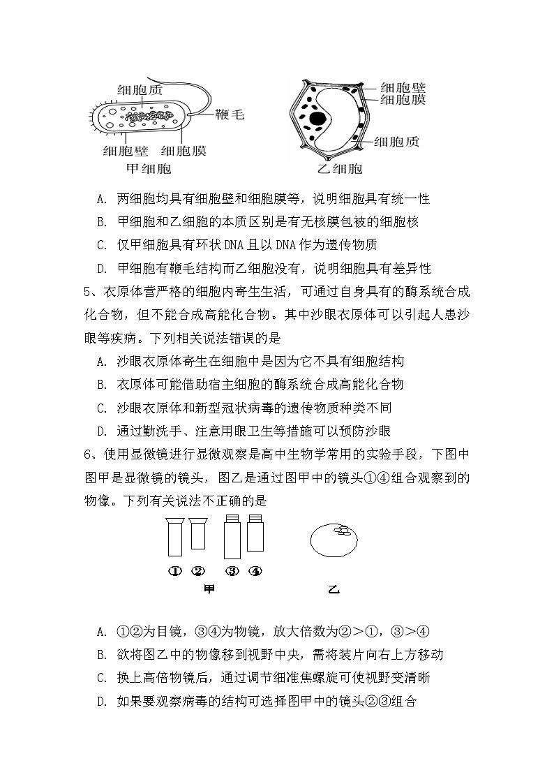 河南省内黄县第一中学2023-2024学年高一上学期第一次月考生物试题第2页