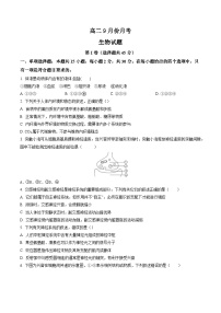 山东省德州市禹城市综合高中2023-2024学年高二上学期9月月考生物试题（含答案）