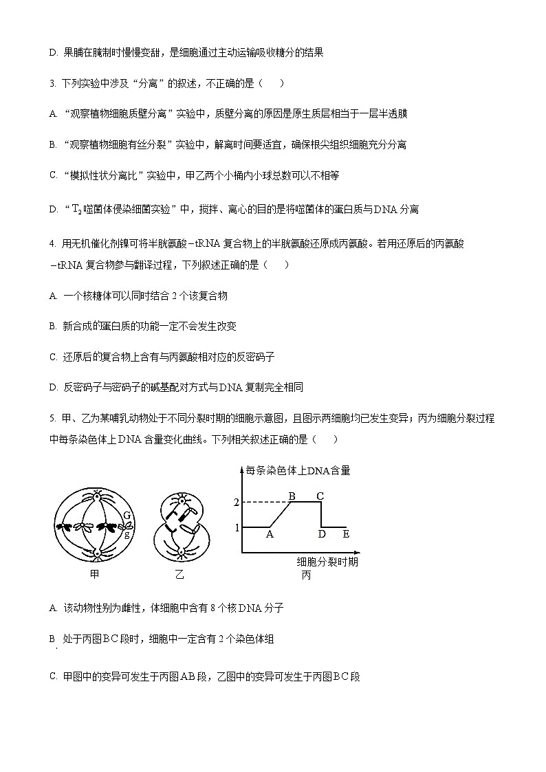 四川省绵阳中学2022-2023学年高三11月月考理综生物试题  Word版无答案第2页